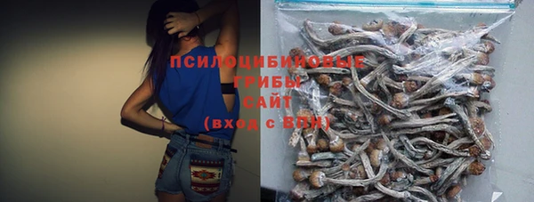 сатива Абаза
