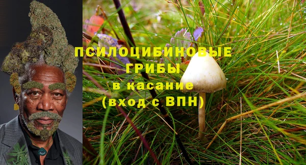 твердый Абинск