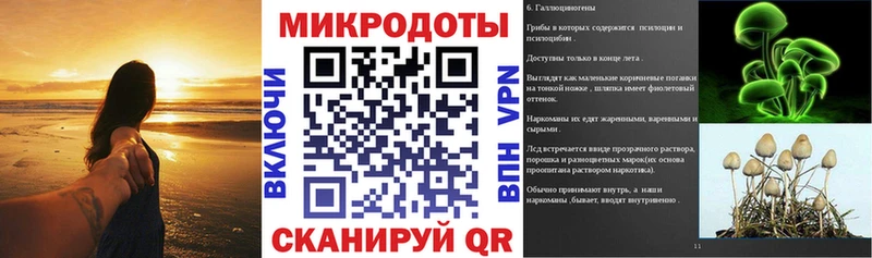 купить закладку  Пучеж  Галлюциногенные грибы Cubensis 